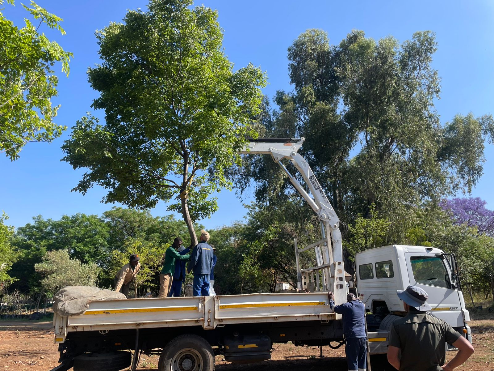 Delivery and operations at Terra Trees