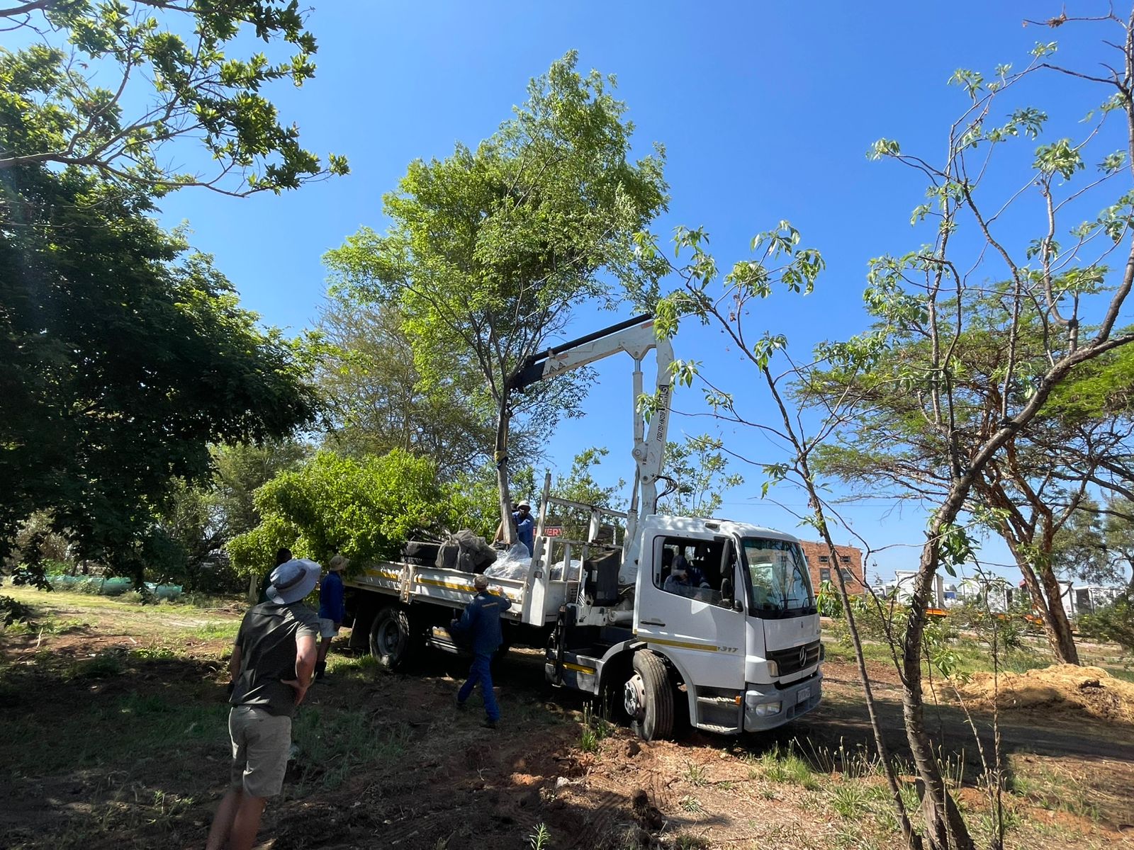 Delivery and operations at Terra Trees