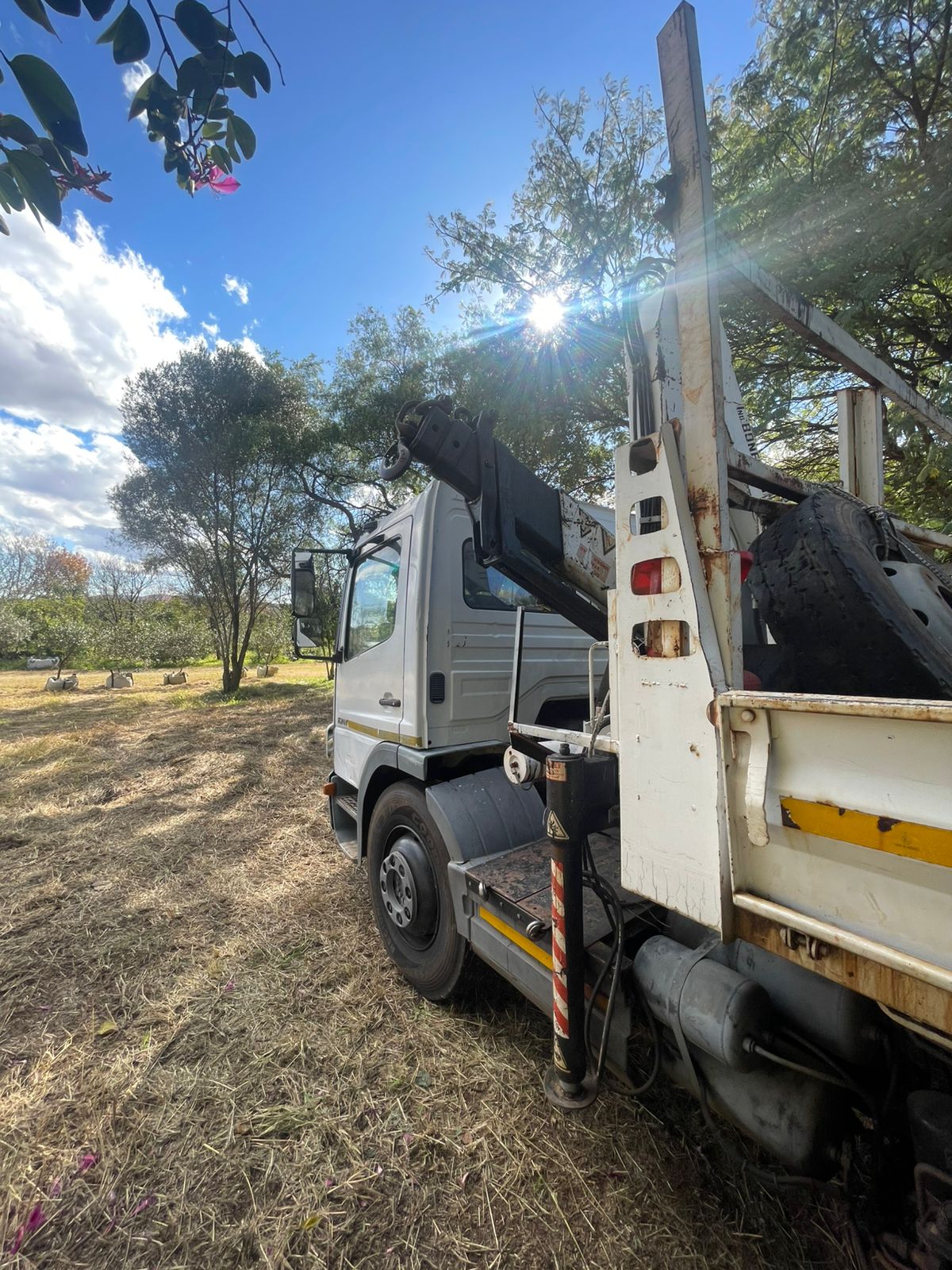 Delivery and operations at Terra Trees