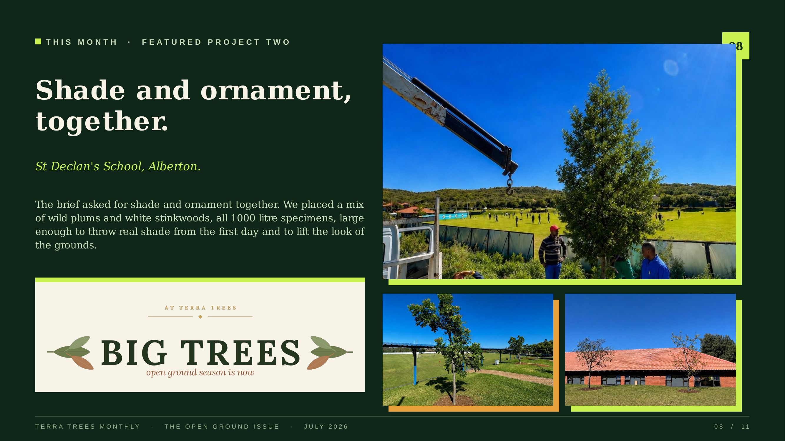 Shade and ornament, together — St Declan's School, Alberton