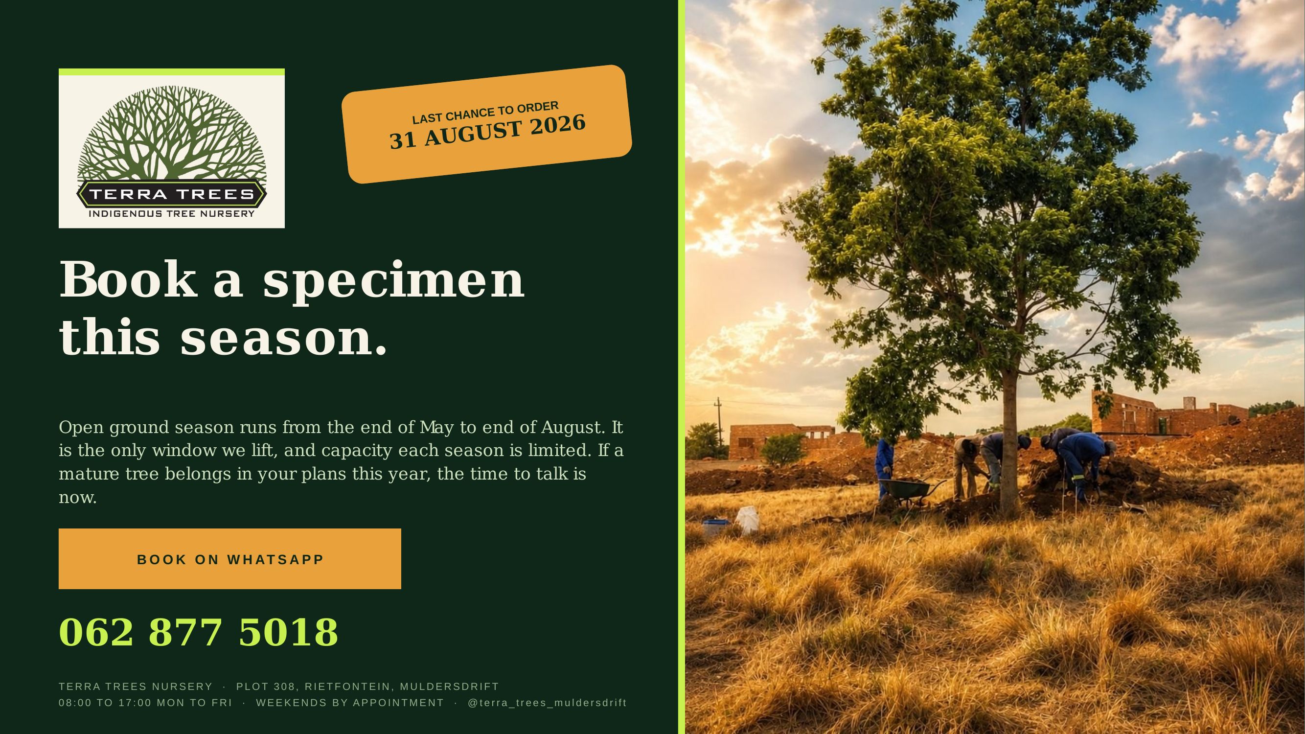 Book a specimen this season — WhatsApp 062 877 5018